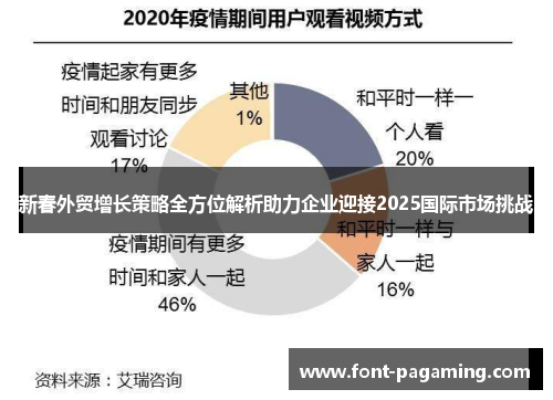 新春外贸增长策略全方位解析助力企业迎接2025国际市场挑战