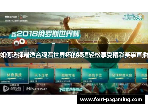 如何选择最适合观看世界杯的频道轻松享受精彩赛事直播