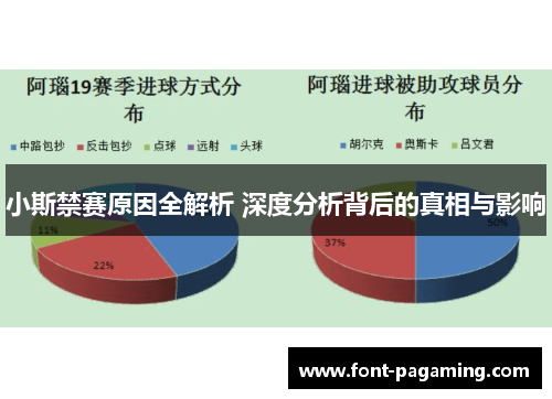 小斯禁赛原因全解析 深度分析背后的真相与影响